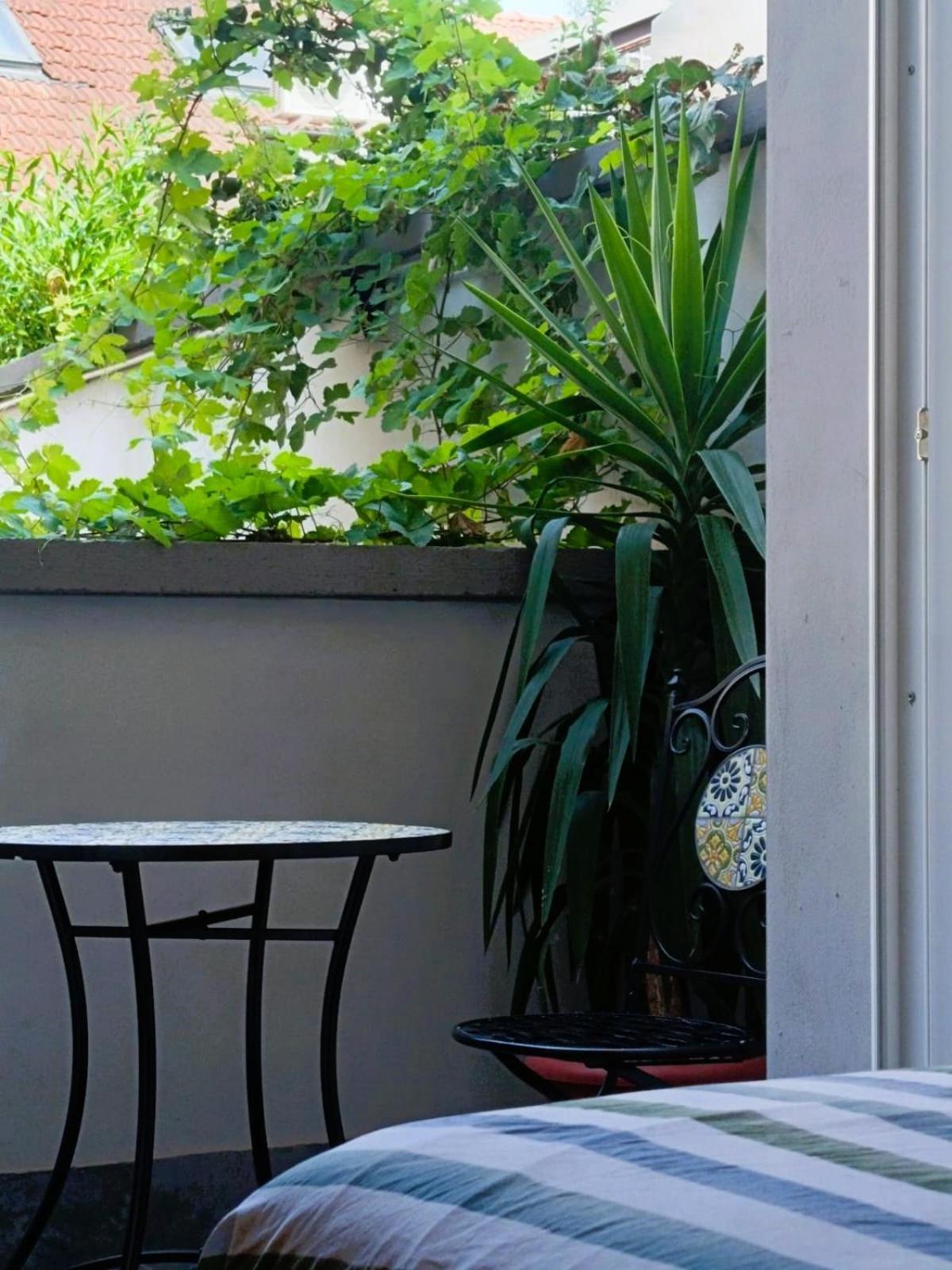 Orelli House 利索内 外观 照片